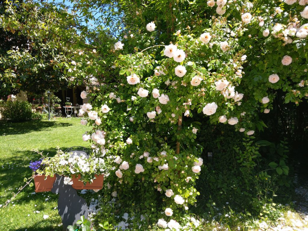casa_camilla_B&B_2