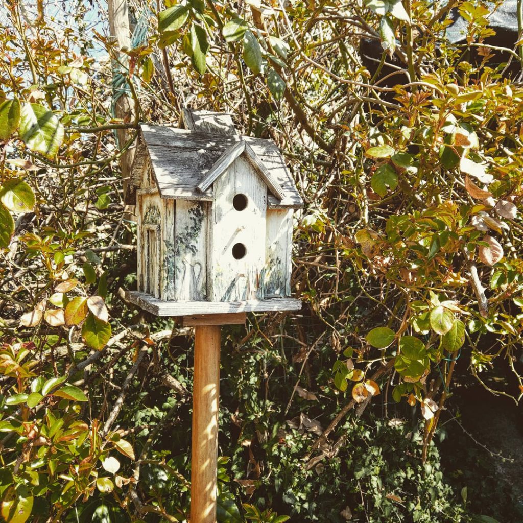 casa_camilla_B&B_5